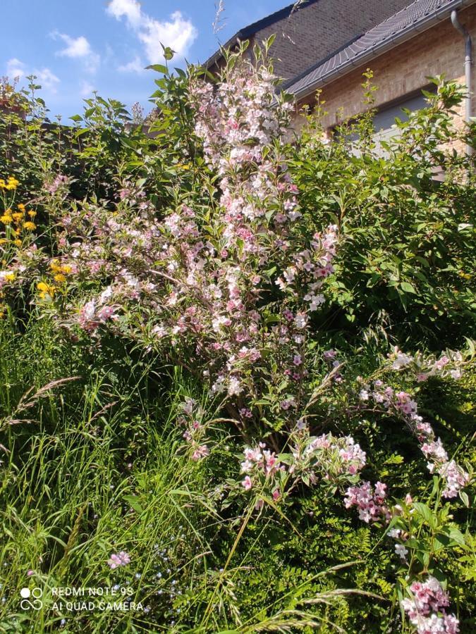 Un brin de Paradis appartement de 100 m² Harze Buitenkant foto