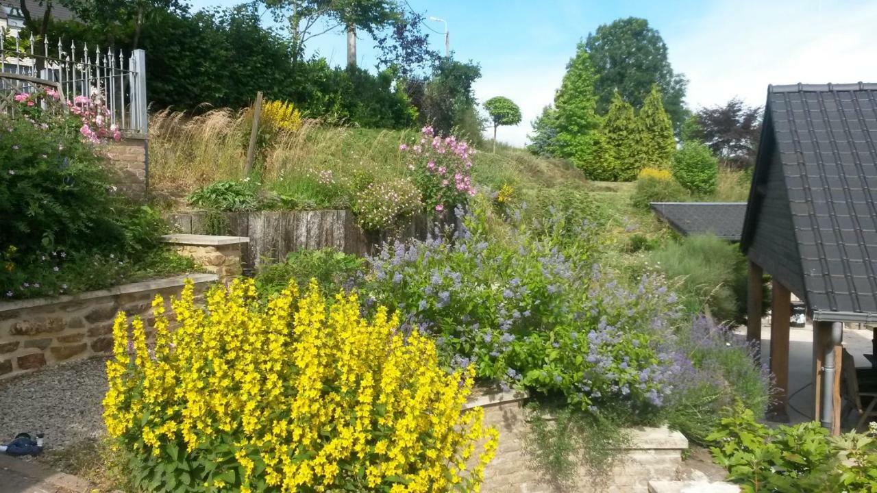 Un brin de Paradis appartement de 100 m² Harze Buitenkant foto