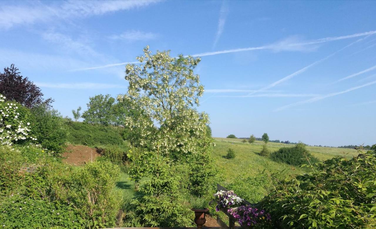 Un brin de Paradis appartement de 100 m² Harze Buitenkant foto