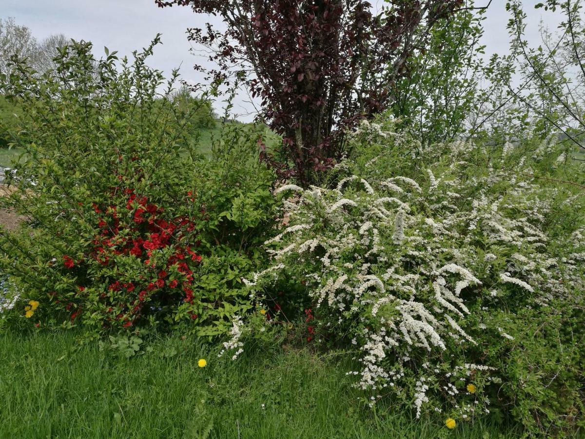 Un brin de Paradis appartement de 100 m² Harze Buitenkant foto