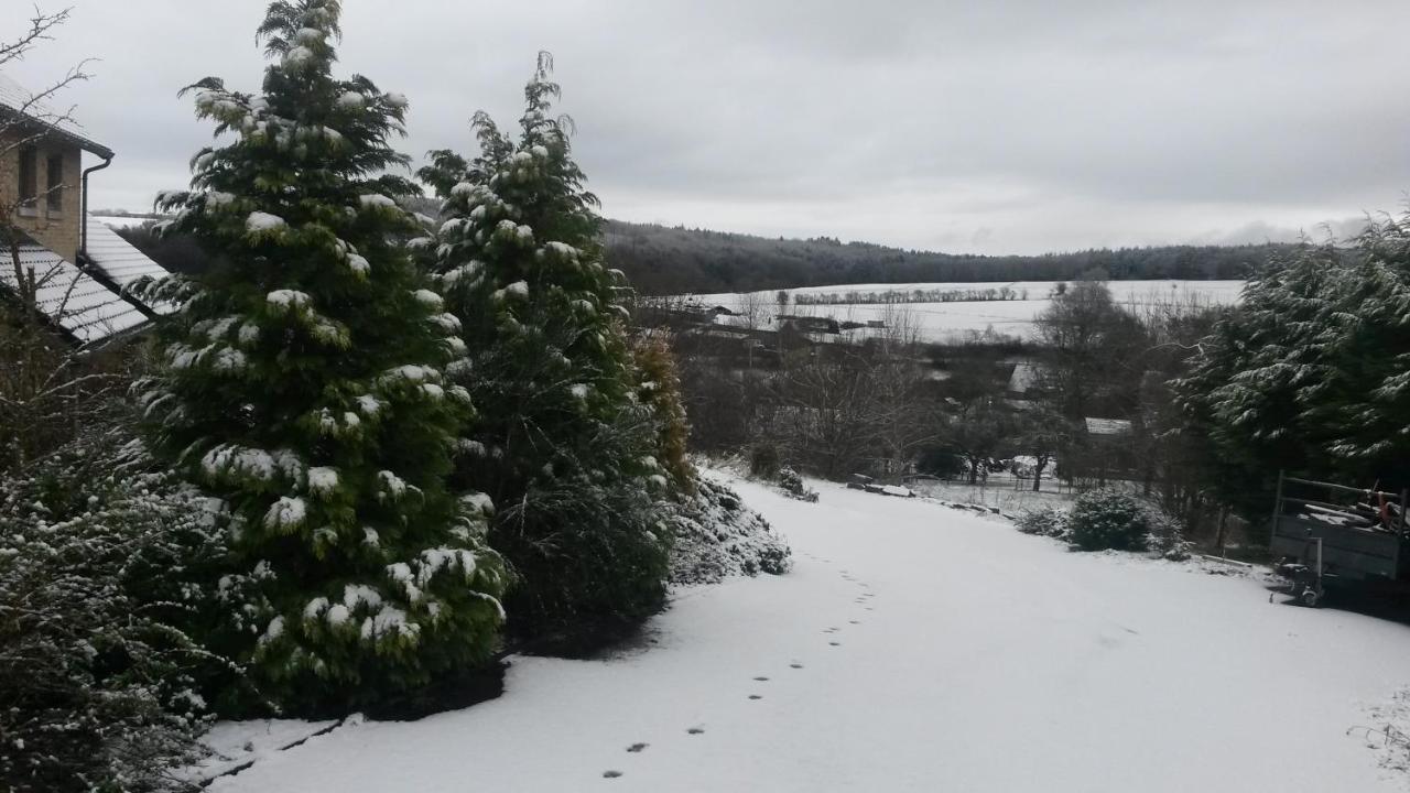 Un brin de Paradis appartement de 100 m² Harze Buitenkant foto