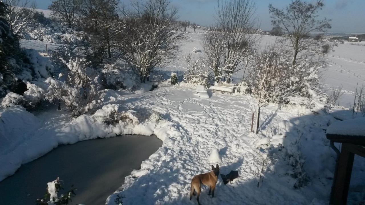 Un brin de Paradis appartement de 100 m² Harze Buitenkant foto